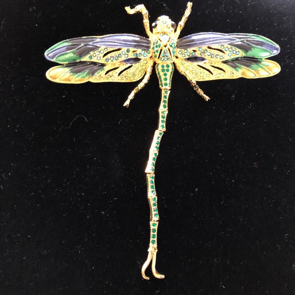 Dragonfly brooch-pendant - Picture 3 of 7